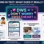 DWS Meaning in Text